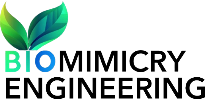 Biomimicry Engineering